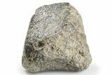 Unclassified Eucrite Meteorite ( g) - From Vesta #263811-2